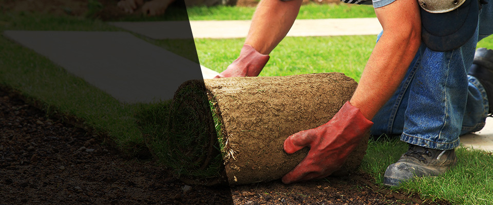 Mansura Landscapers